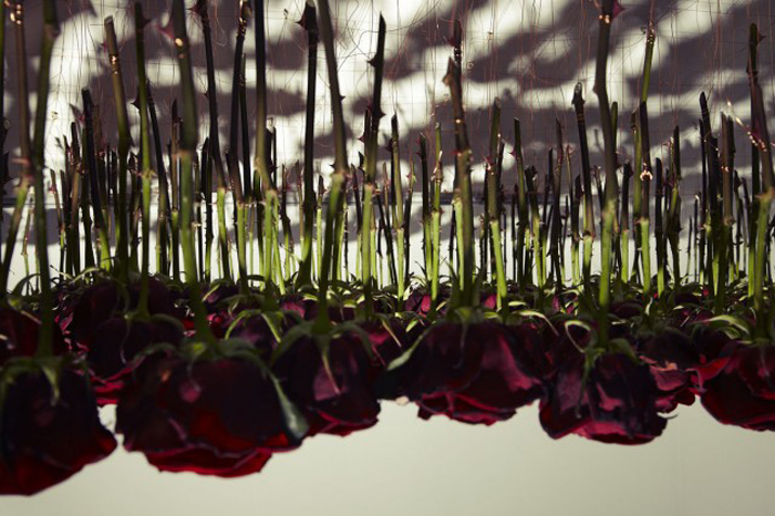 Rebecca Louise Law：從天而降花雨，最澎湃的花朵藝術 32