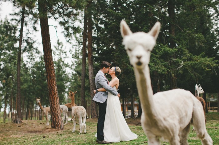25 the most gorgeous Wedding Photos From 2014 13