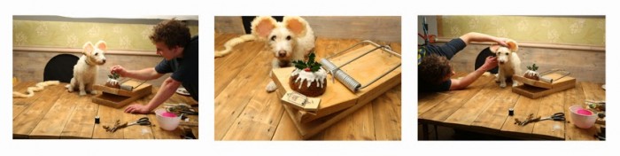 Peter Thorpe “Dogs The Halls” with Adorable Holiday Cards 12