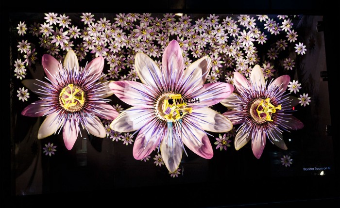 In bloom: Apple stages a floral takeover of Selfridges' windows 3