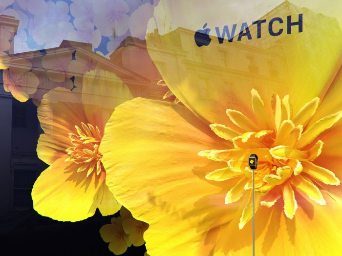 In bloom: Apple stages a floral takeover of Selfridges' windows 5