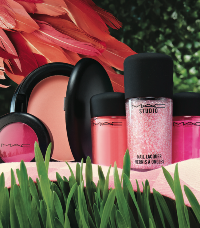 MAC Cosmetics Flamingo Park 4
