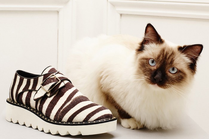 Stella McCartney 2016 早秋系列 11