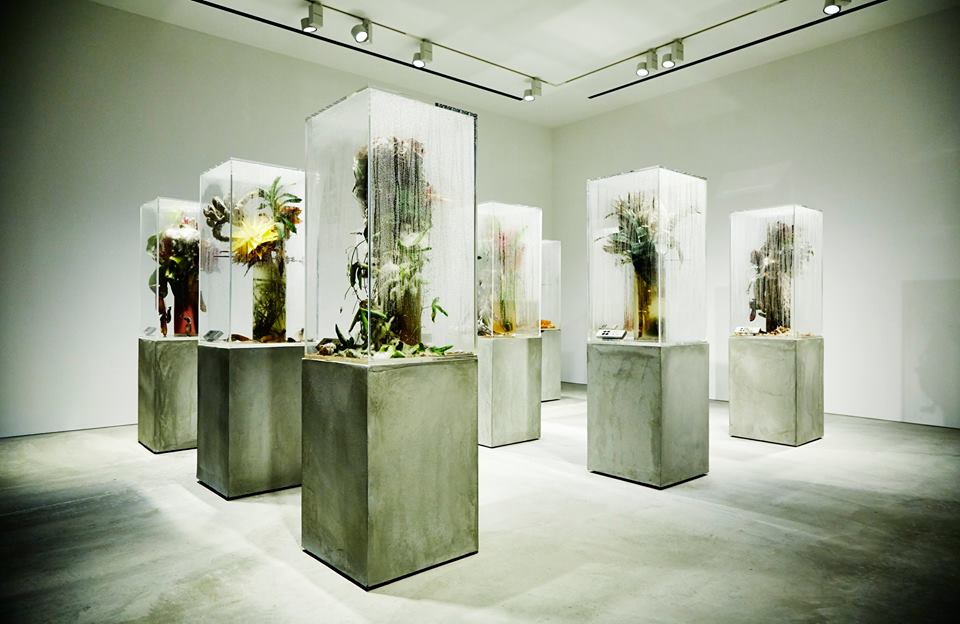 崩壞的美感：日本藝術家 Azuma Makoto 讓時間為花朵賦予新的定義 16