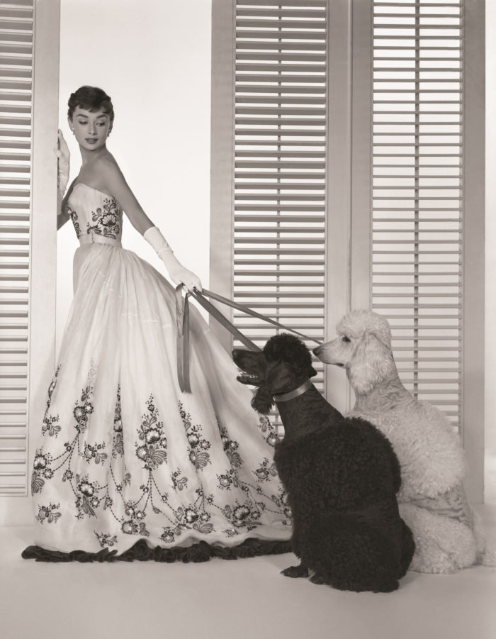 「優雅是唯一不褪色的美」：奧黛麗赫本全新寫真《Audrey: The 50s》即將發行 5